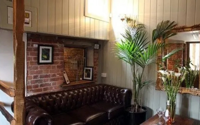 The Ingham Swan