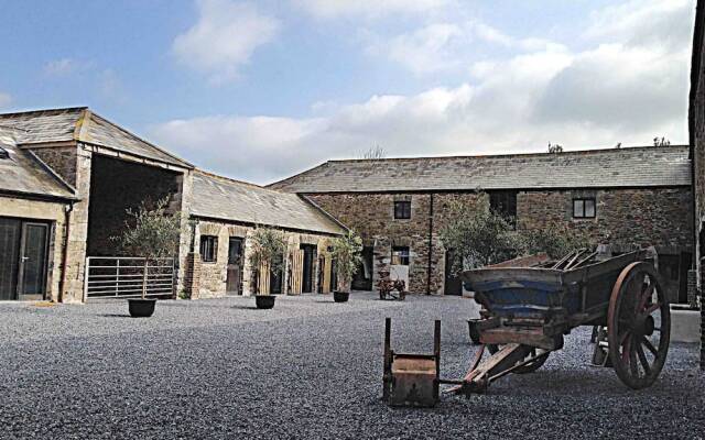 Anrán at Tidwell Farm