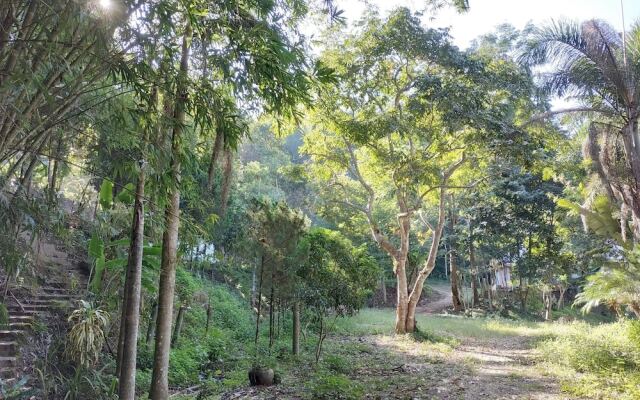 Farmstay at Pha Ma Chiangrai
