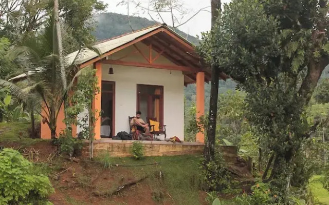 Forest & Fields Sinharaja