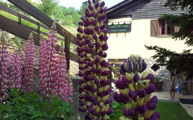 Hostal Xalet Refugi Pere Carné - Hostel