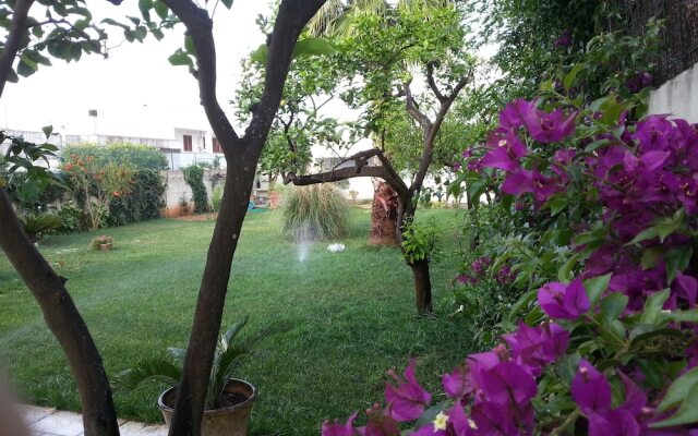 Alma Terra Salento B&B