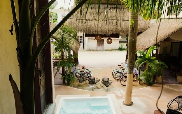 Macondo Raíz Holbox