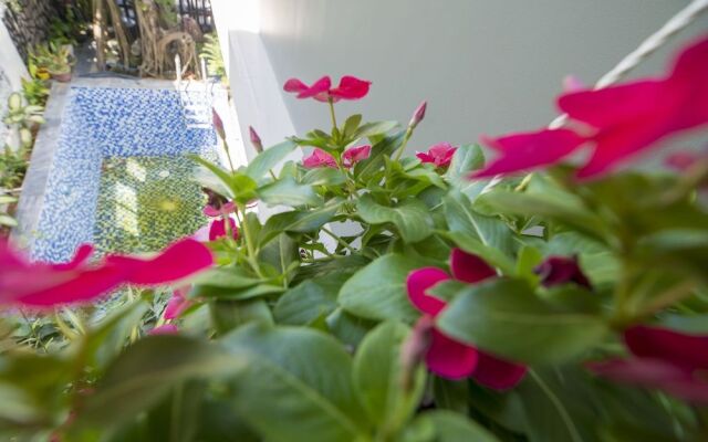 Hai Dao Hoi An Villa