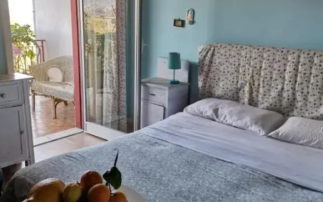 B&B Xenia