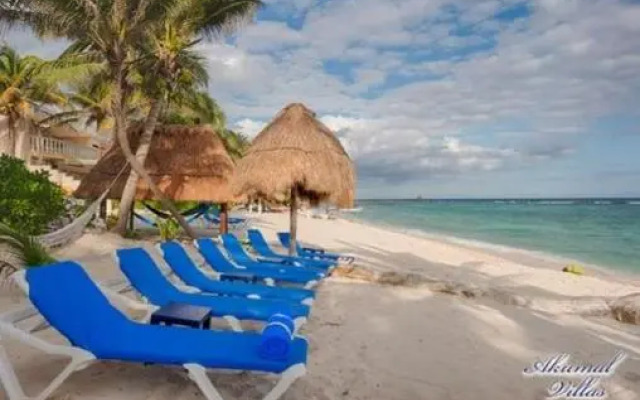 Hammock Heaven