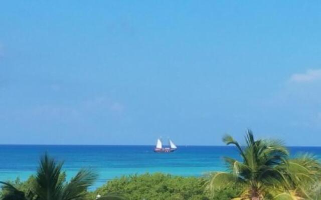 Palm Beach Paradise
