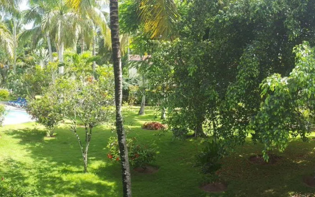 Oasis Hotel Las Terrenas