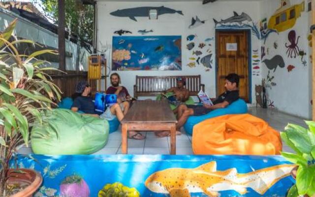 Timor Backpackers