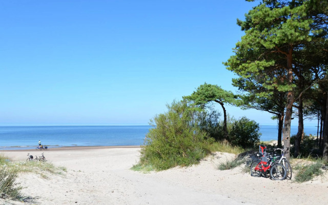 Gintarinė KOPA Kunigiškiai