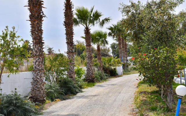 1 Bedroom Apartment Lambisea