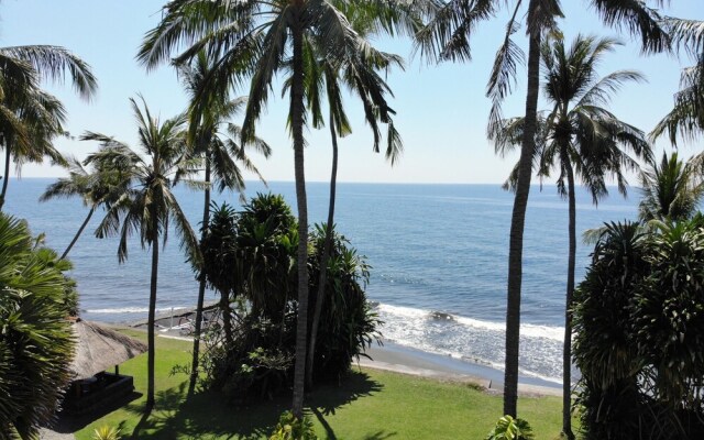 Ciliks Beach Garden