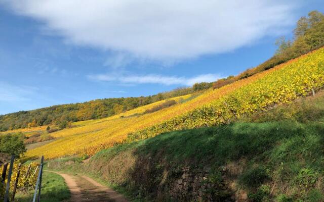 Le Gîte du Sommerberg