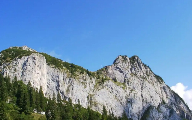 Bodenschneid Suites \"wallbergblick\"