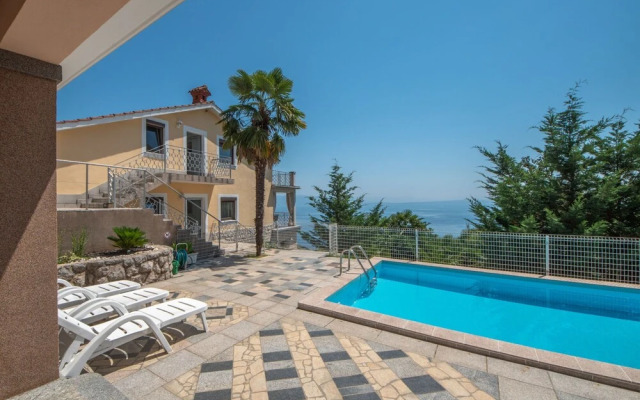 Laurus Tuli Evica in Tuli Evica