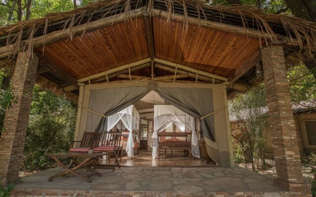 Fig Tree Camp