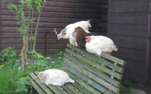 No.5 - Ferienwohnung Schkade