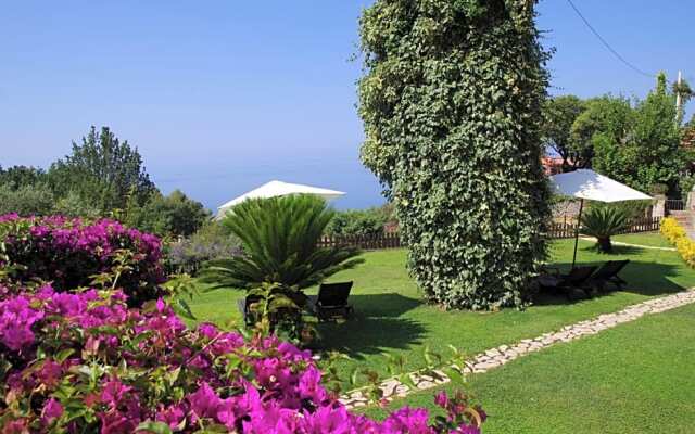 Bed and Breakfast Nefer