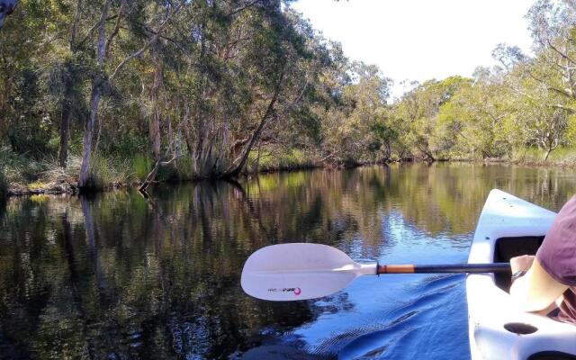 Lake Weyba Noosa Lodge & Kangaroos