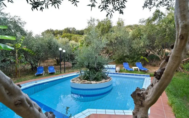 Olive Farm