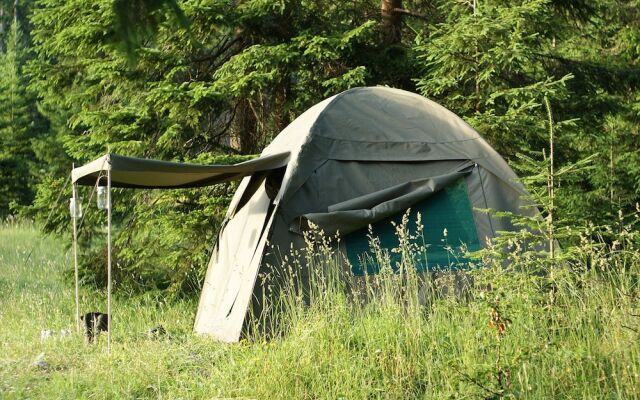 Linden Tree Retreat & Ranch