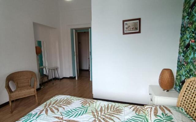 Colosseo Kokedama rooms