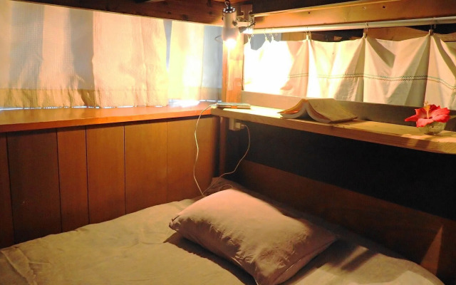 Hotel Hibiscus - Hostel