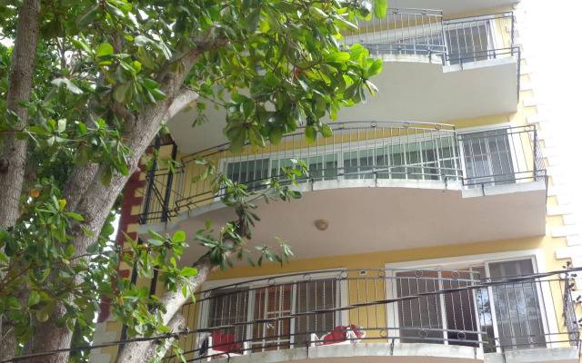 RIG Hostel Boca Chica Back Packer
