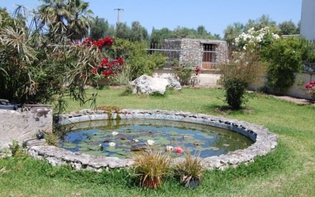 Scalilla - L'Agriturismo