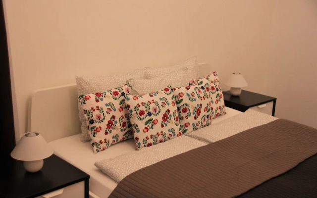 Duna Szecsi Apartmant