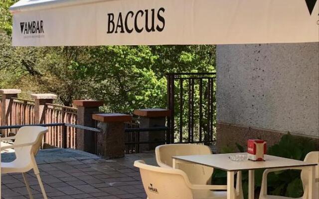 Hotel Baccus
