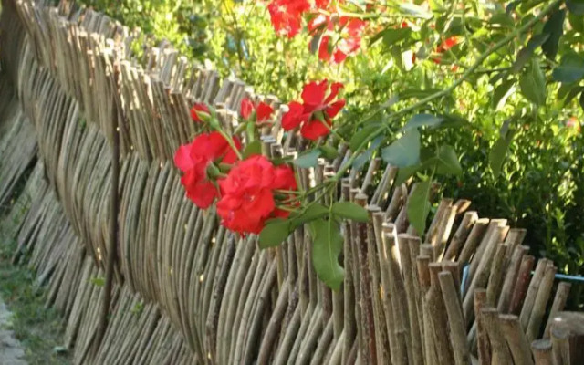 Eco Farm Veselić