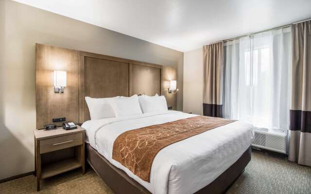 Comfort Suites Columbia I-65