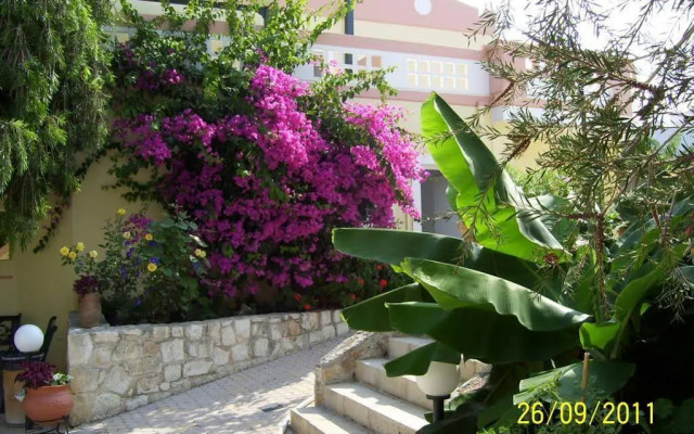 Apelia Hotel