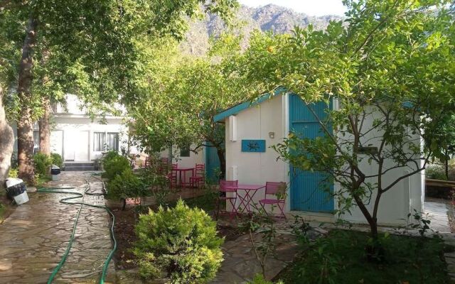 Zebu Hotel