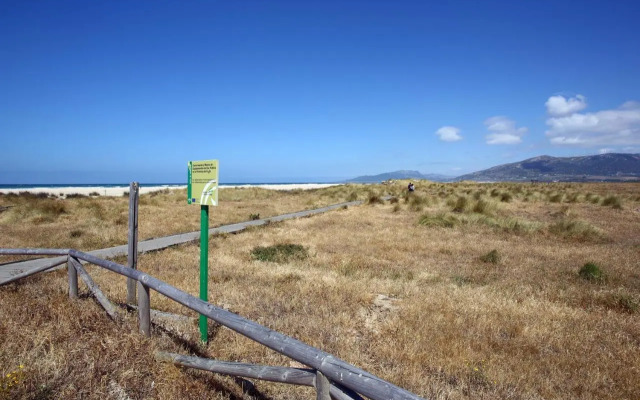 Surfing Tarifa 23