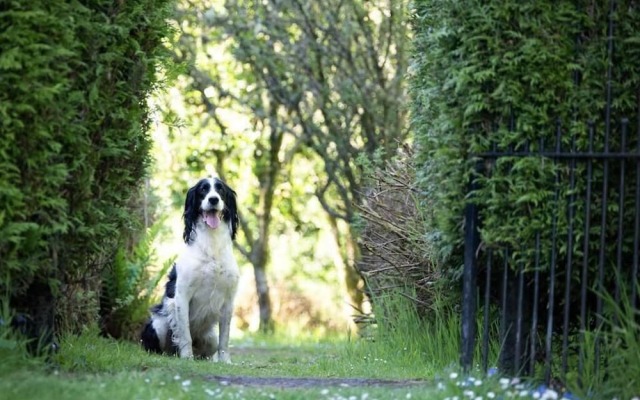 Charming 7-bed Estate House Near Gleneagles