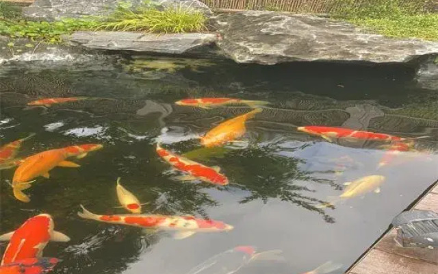 Landison Retreat Deqing Huzhou