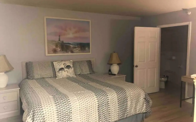 The Old Man the Sea-seaview 101