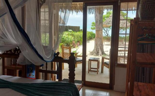 Driftwood Beach Lodge