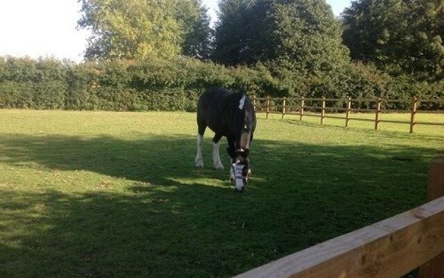 Ravencar Farm Bed and Breakfast