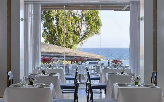 Royal Apollonia Limassol