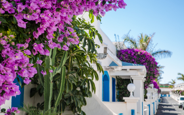 Bahiazul Resort Fuerteventura