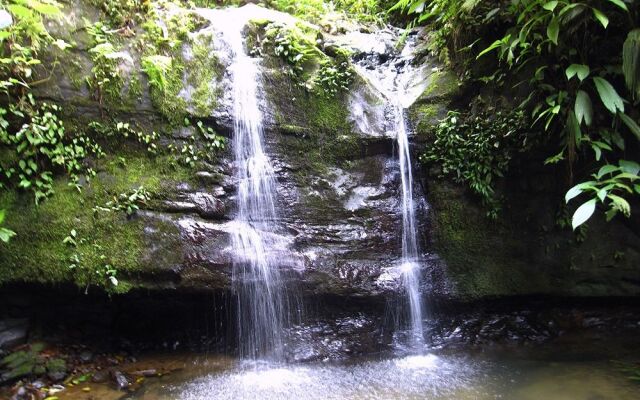 Samasati Yoga & Wellness Retreat