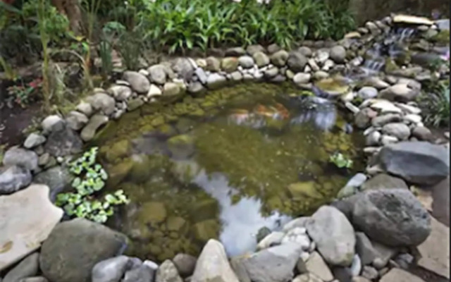 Guayaba Inn Boutique Hotel