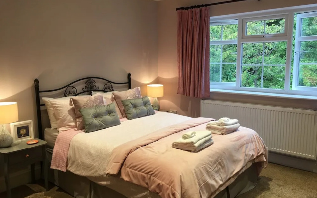 Leafy Suburban Bed & Breakfast