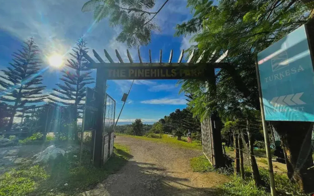 1193 Pinehall Farm Rizal