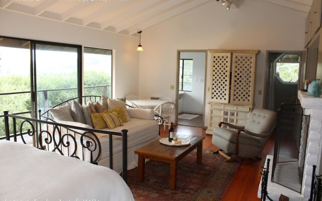 The Nest in Carmel Valley