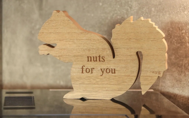 Red Squirrel