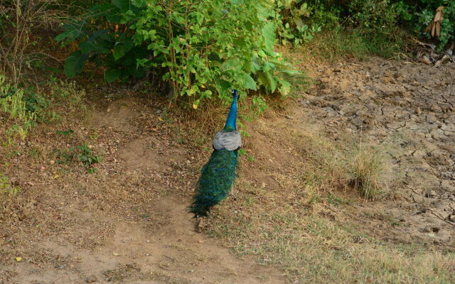 Nil Diya Mankada Safari Lodge